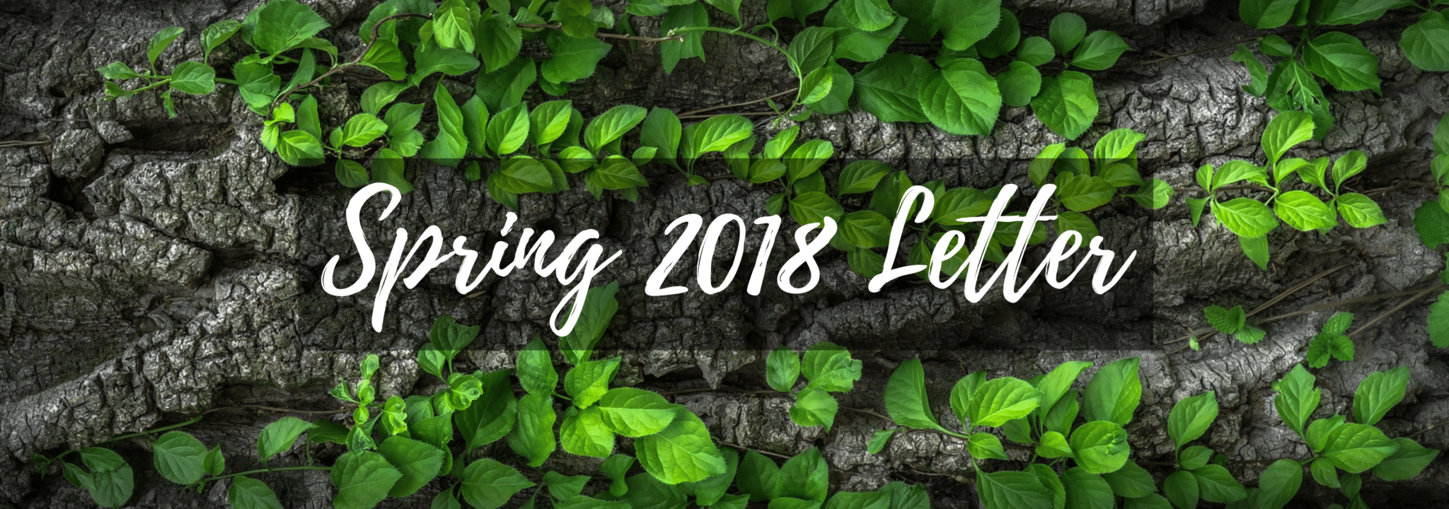 City-Photo-Tumblr-Banner