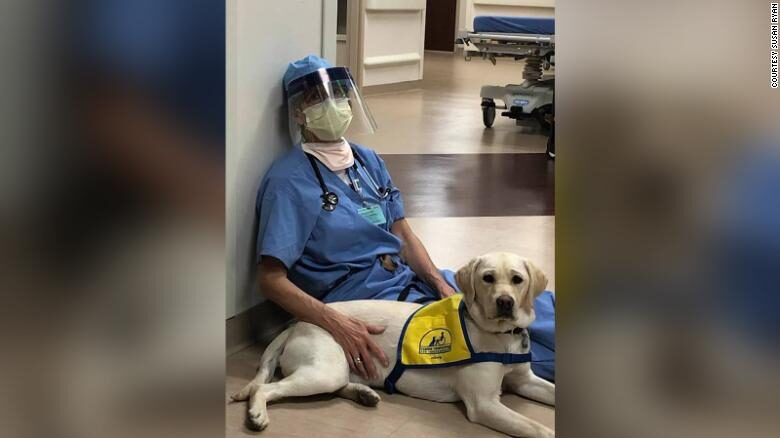 Dog-Image