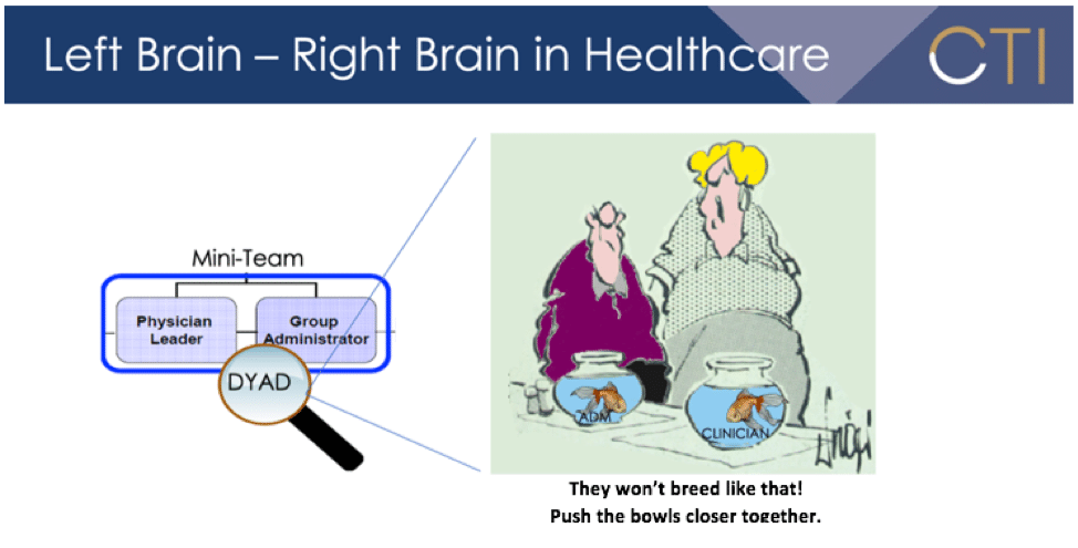 Left Brain Right Brain image