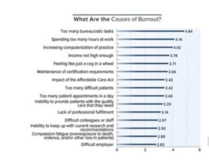 burnout 6 web