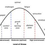 The Paradox of Stress: Motivator or Paralyzer?
