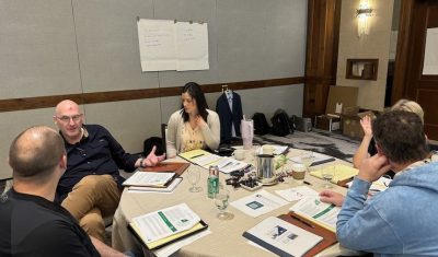 strategy consulting - web